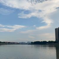 智者松鼠ux头像