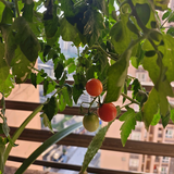定福万家百货头像