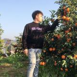我行我素2233头像