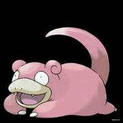 logicic的个人资料头像