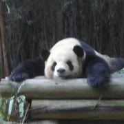 小pop588967256189177的个人资料头像