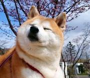 头疼脑热的个人资料头像