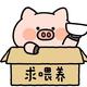 专属小猪仔头像