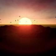 用户6858435962207的个人资料头像