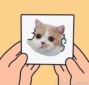 灰噜噜熊的个人资料头像