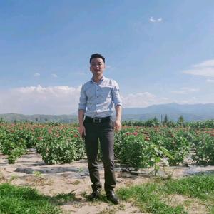 杨富头像