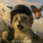 RookiePilot的个人资料头像
