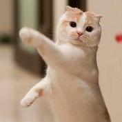 qianfei_的个人资料头像