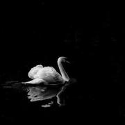 New210的个人资料头像