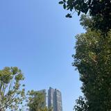 ¥胜天半子$头像