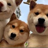 晓陇697头像