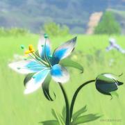 vishun的个人资料头像