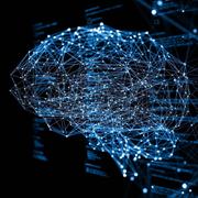 Tercel的个人资料头像