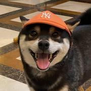 Lyx113的个人资料头像