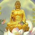 用户1413545706960头像