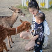 lovecc的个人资料头像