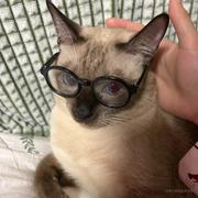 Aolith的个人资料头像