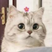 我真的很喜欢花椒味头像