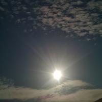 元气星空tj头像