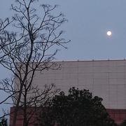 追风小蚂蚁的个人资料头像