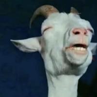 认真达西3W3头像