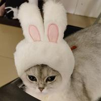 故事成书813头像