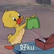 Codyida的个人资料头像