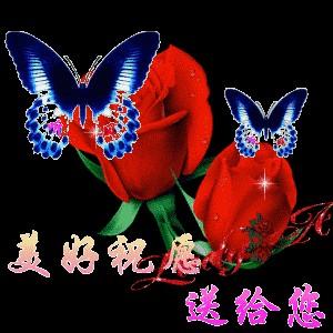 卡溜邦头像
