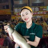 上进的苹果vKK头像