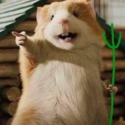 Lee229的个人资料头像