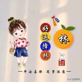 一丝不苟林风头像
