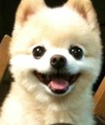 A大米的个人资料头像