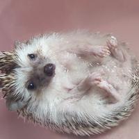 用户9629632071267头像