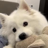 憨憨nsy头像