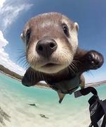 三岁抬头的个人资料头像