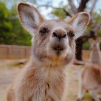 用户1412984638717头像