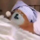 头好痒好像要长脑子了头像