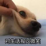 孤舟蓑笠翁L头像