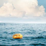 螃蟹叔叔的个人资料头像