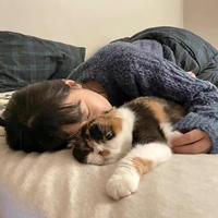 用户2344469467812头像