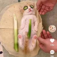 小琪琪4486头像