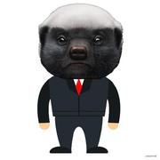 Kayber的个人资料头像