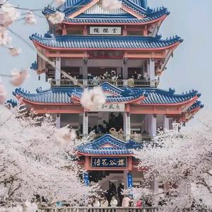 小鸣同学头像
