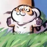 周紫瑞13头像