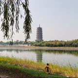 用户185499140270头像