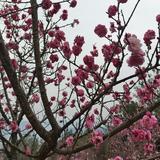 喜哥5504头像
