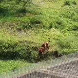 各自安好3205头像