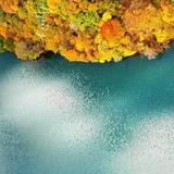 宥心者事竟成头像