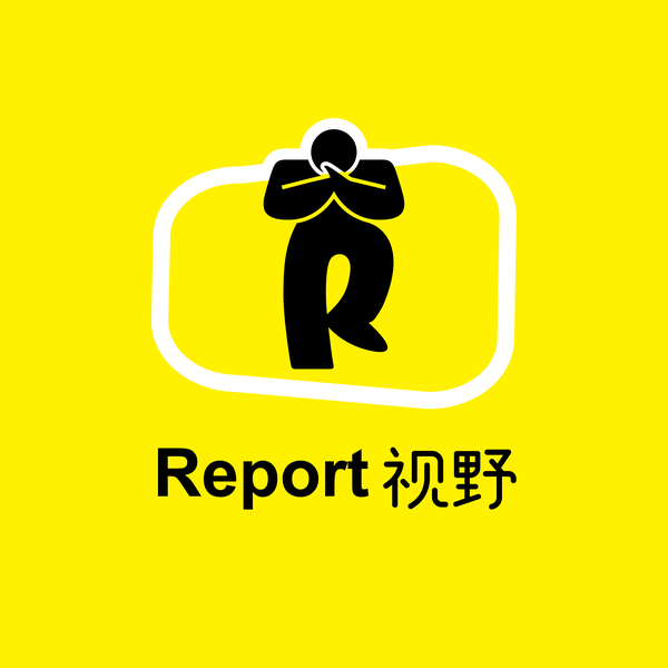 Report视野头像