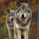 用户2731937774925头像